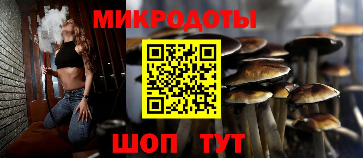 Псилоцибиновые грибы GOLDEN TEACHER Фролово